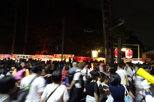 すすき川花火大会 筑摩の夜空を彩る大輪の花 信州松本移住日記