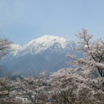大町山岳博物館から見渡す残雪の北アルプスと桜