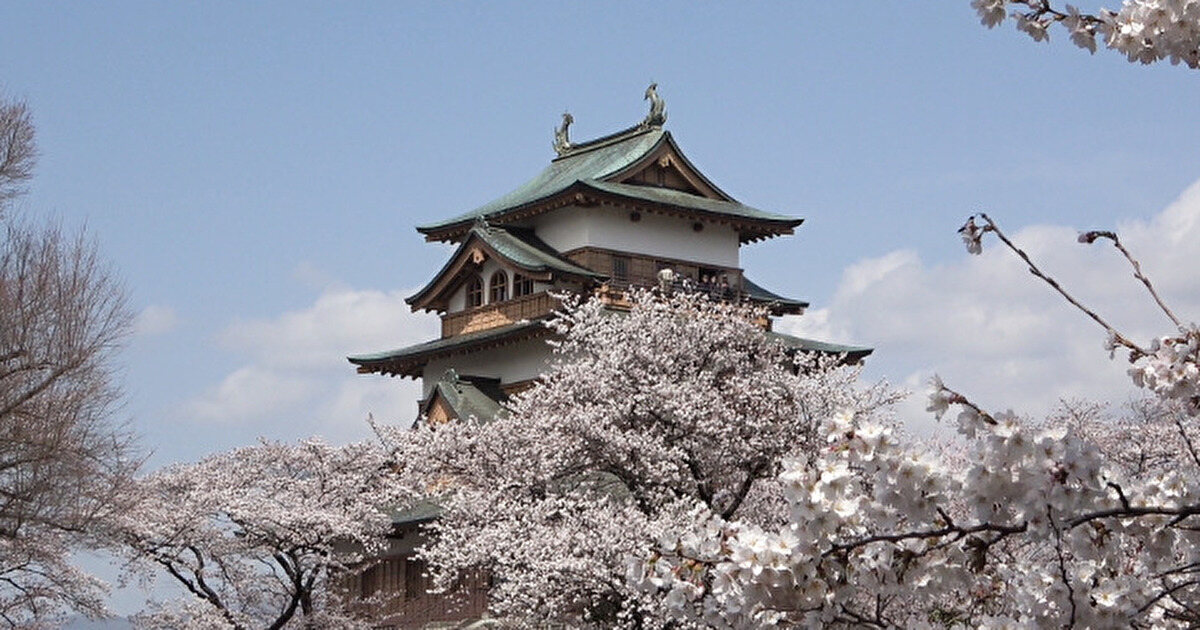 高島城と桜